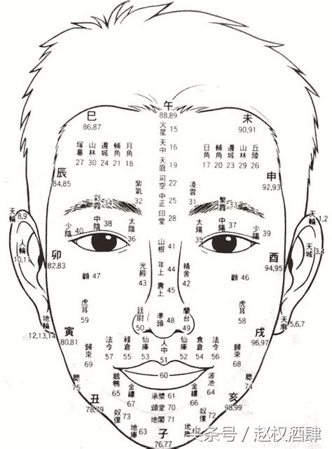 百歲流年圖|風水玄學面相的百歲流年圖, 風水, 玄學, 面相, 家居風。